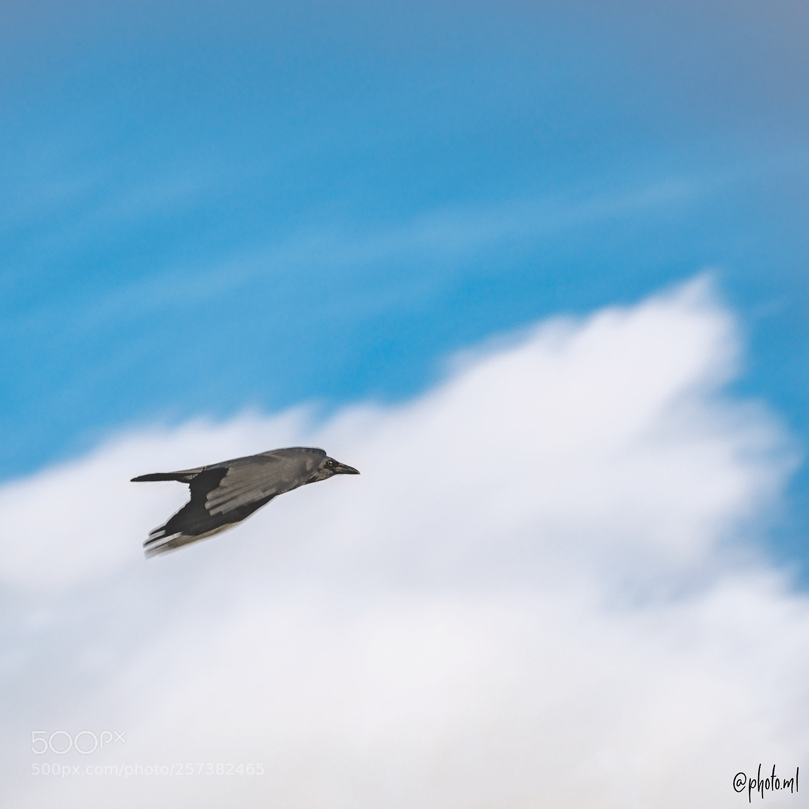 Sony a7R II sample photo. Untitled photography
