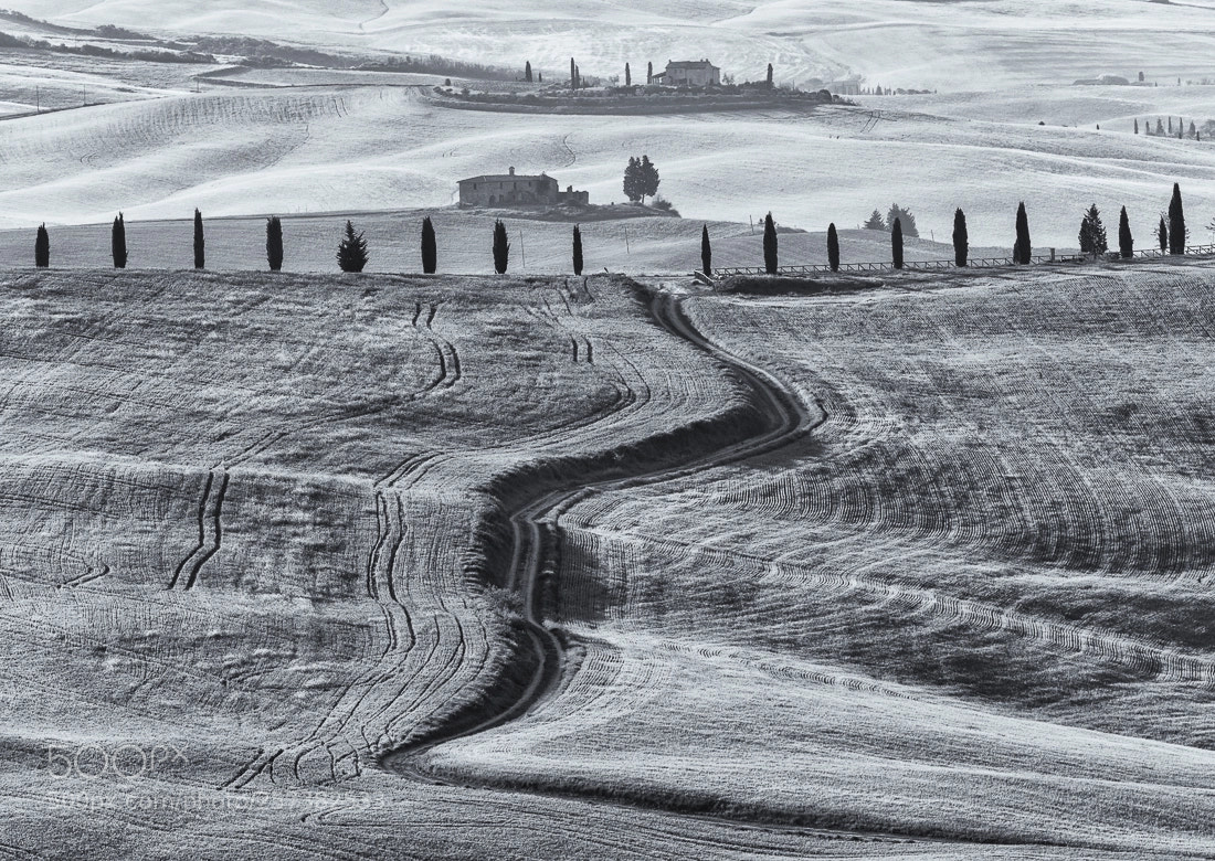Nikon D850 sample photo. Val d'orcia photography