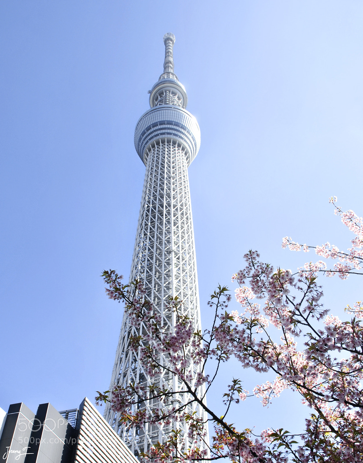 Nikon D3000 sample photo. Tokyo skytree - japan photography