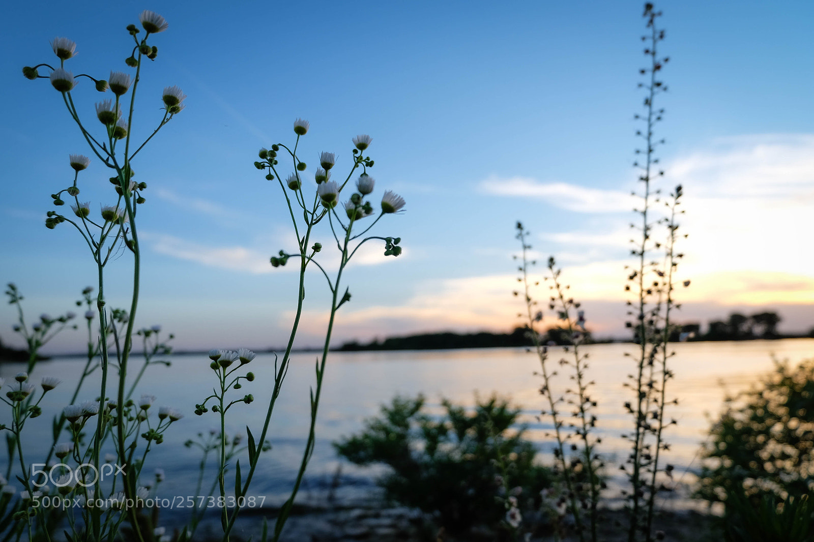 Fujifilm X-T10 sample photo. Dscf photography