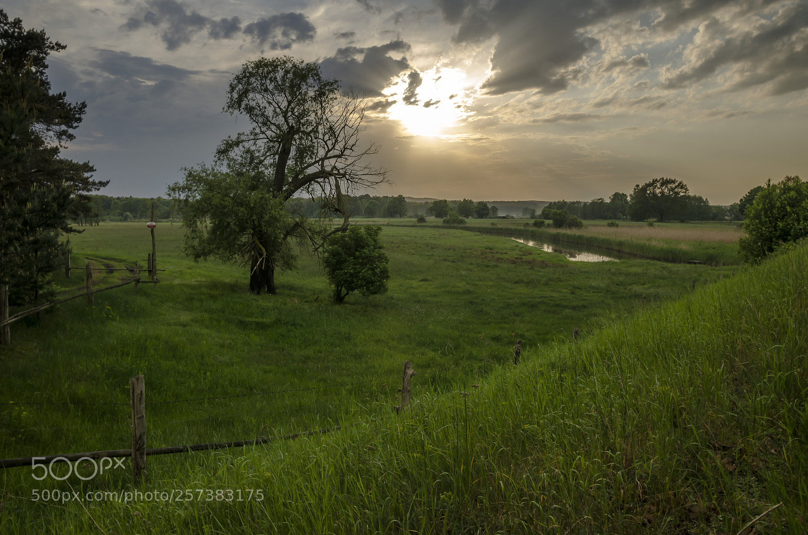 Nikon D5100 sample photo. Before storm photography