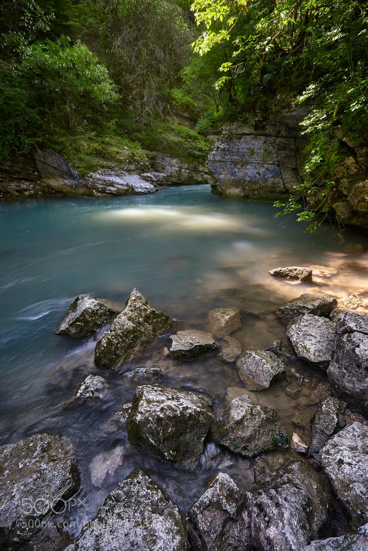 Canon EOS 5D Mark II sample photo. Spots of sunlight photography