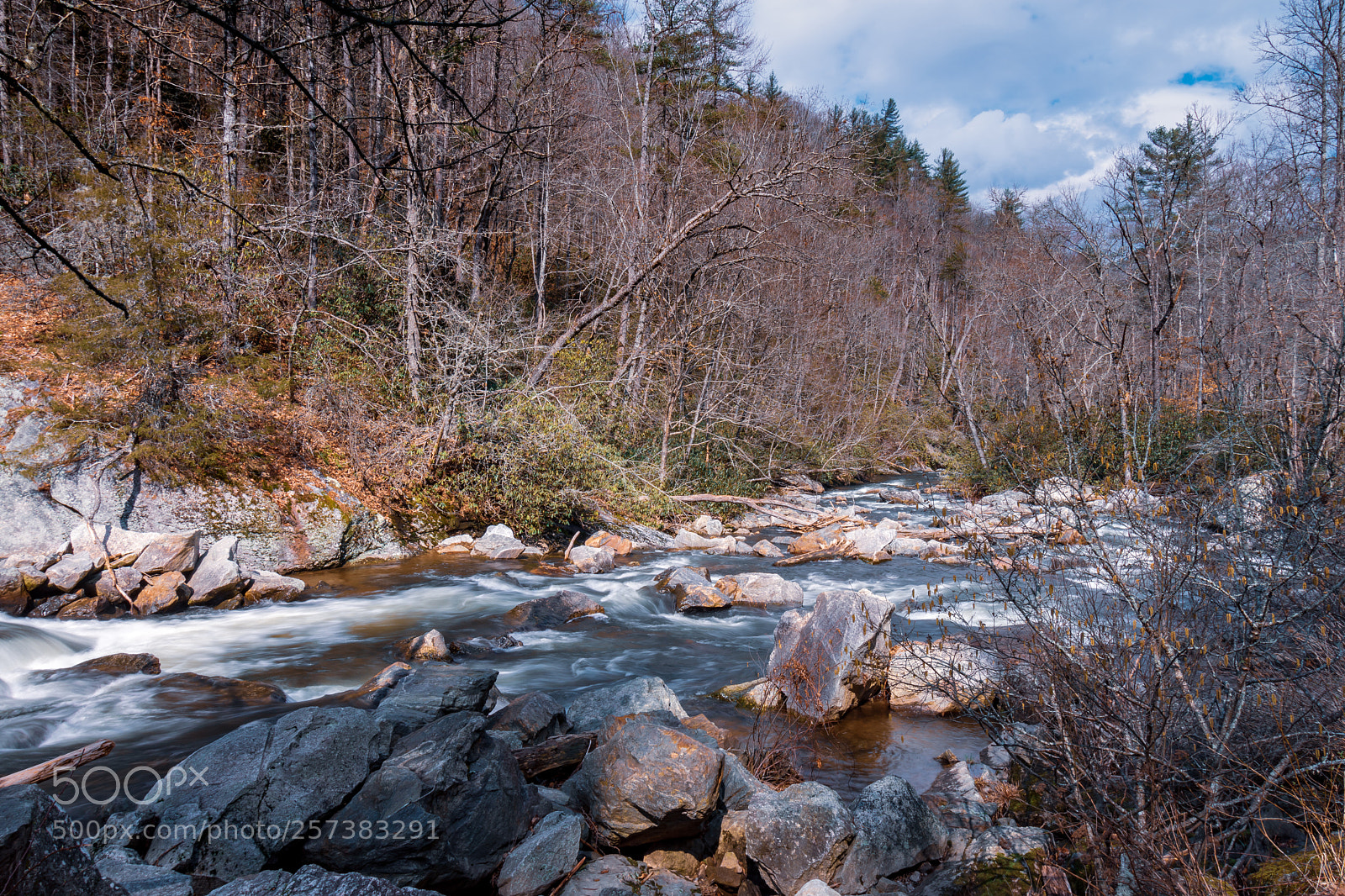 Nikon D7200 sample photo. Natural peace photography