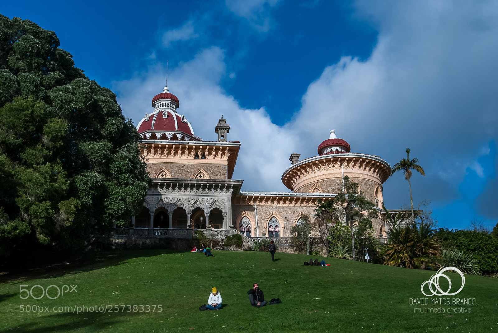 Nikon D80 sample photo. Monserrate photography