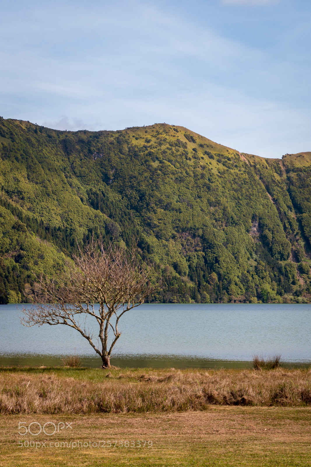 Canon EOS 70D sample photo. Lagoa das sete cidades photography