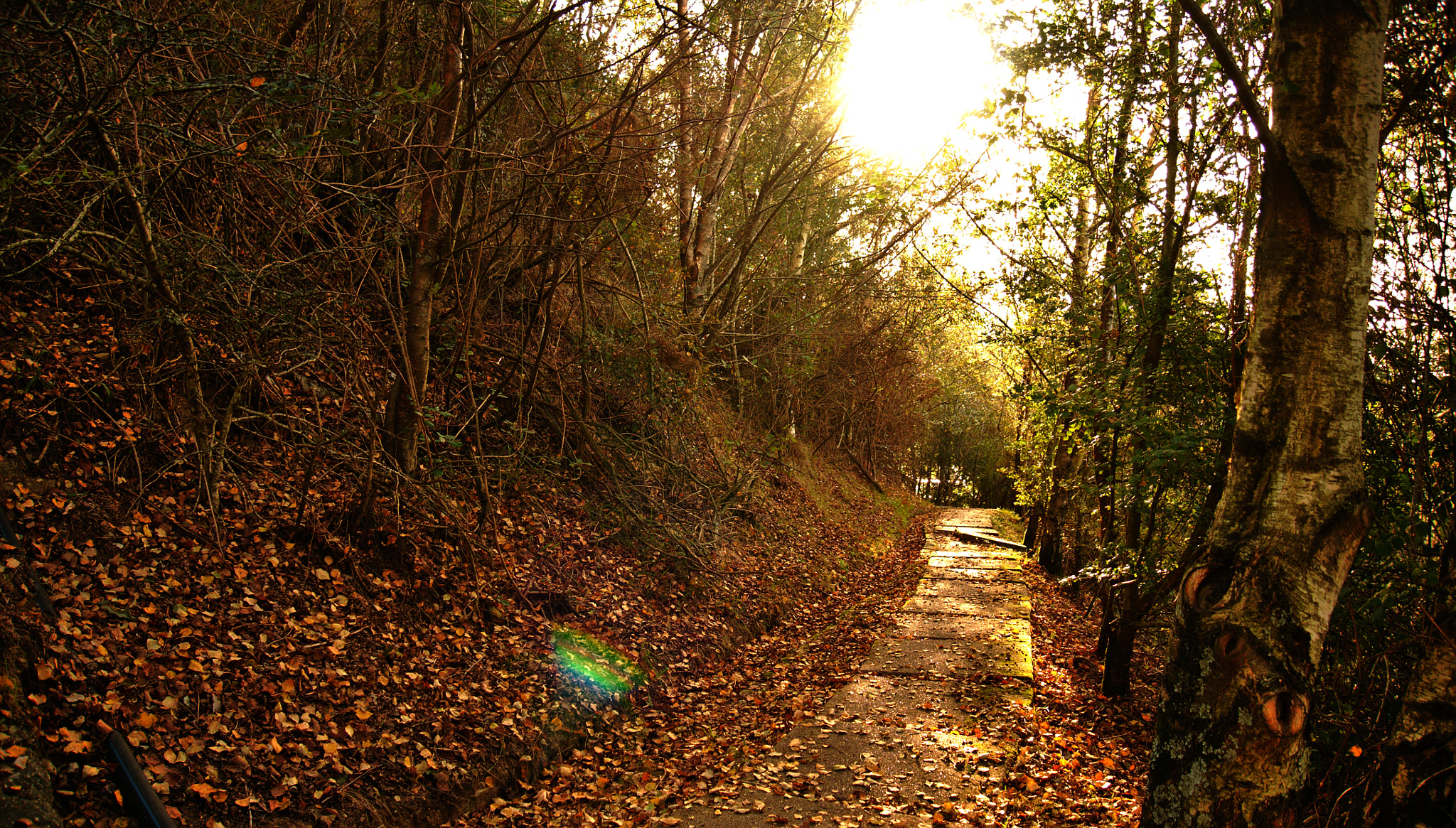 Panasonic Lumix DMC-GH1 sample photo. Vía solar / solar pathway photography
