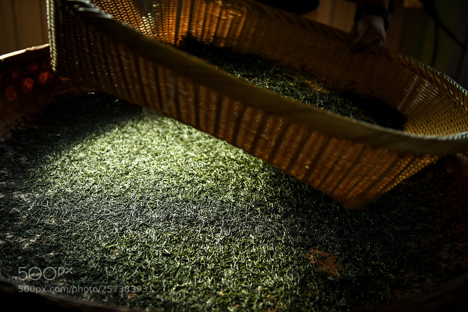 Nikon D750 sample photo. 玉露 photography