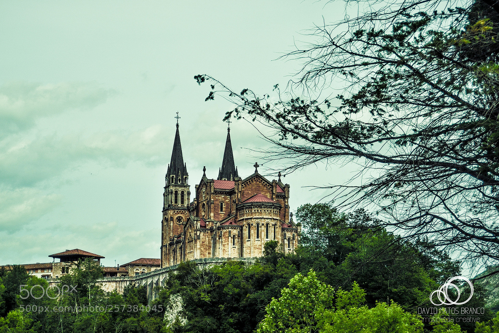 Nikon D3100 sample photo. Covadonga cathedral photography