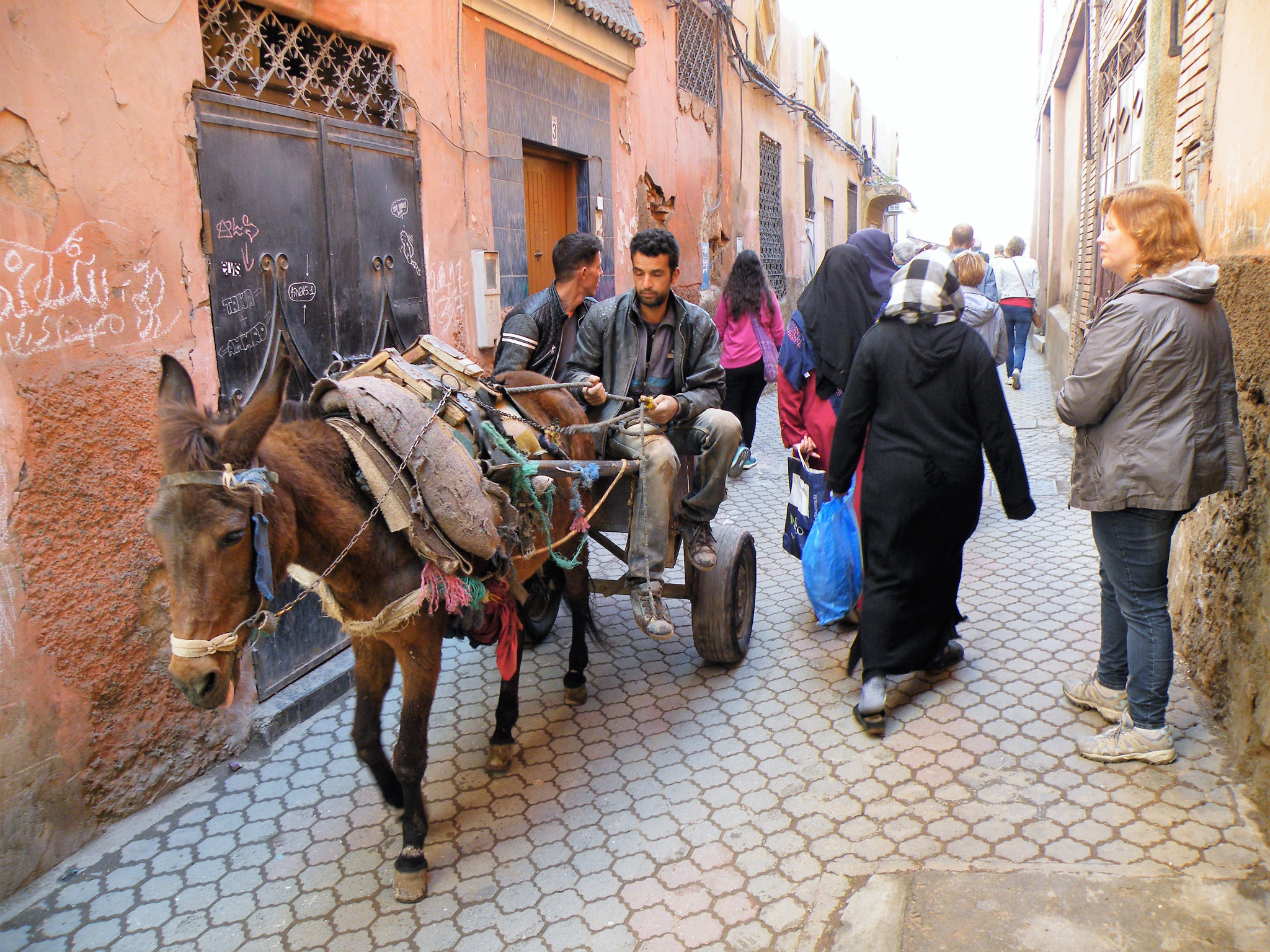 Fujifilm FinePix S8100fd sample photo. Marrakech donkey photography