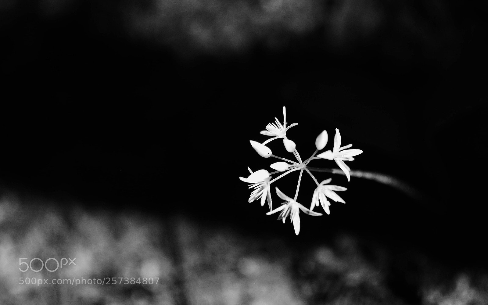 Nikon D7100 sample photo. Discover photography