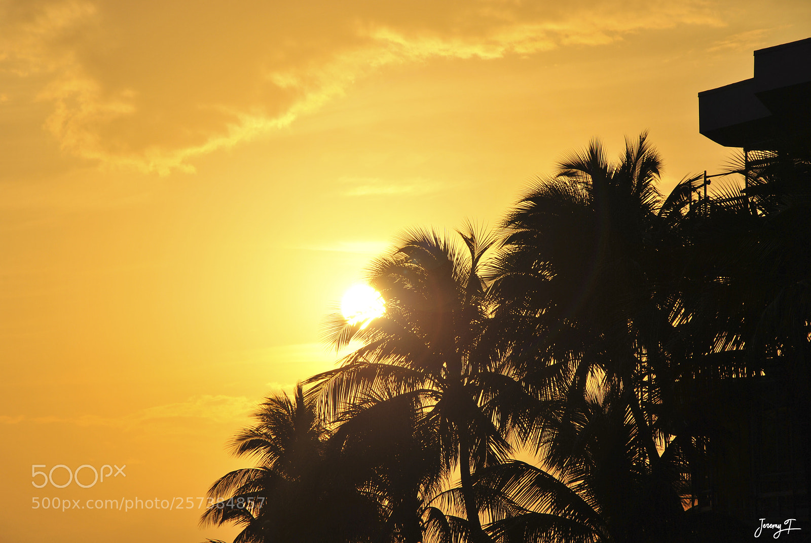 Nikon D3000 sample photo. Miami's sunet photography