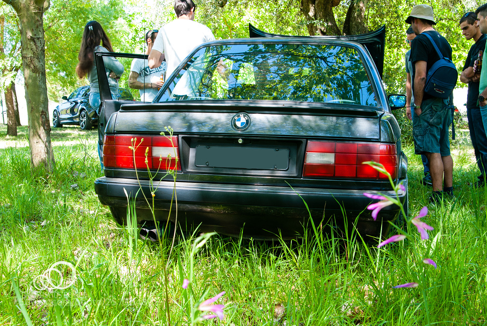 Nikon D80 sample photo. Grass photography