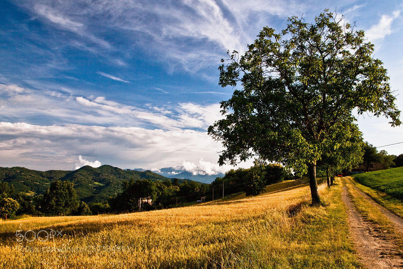 Canon EOS 5D Mark II sample photo. Summer photography