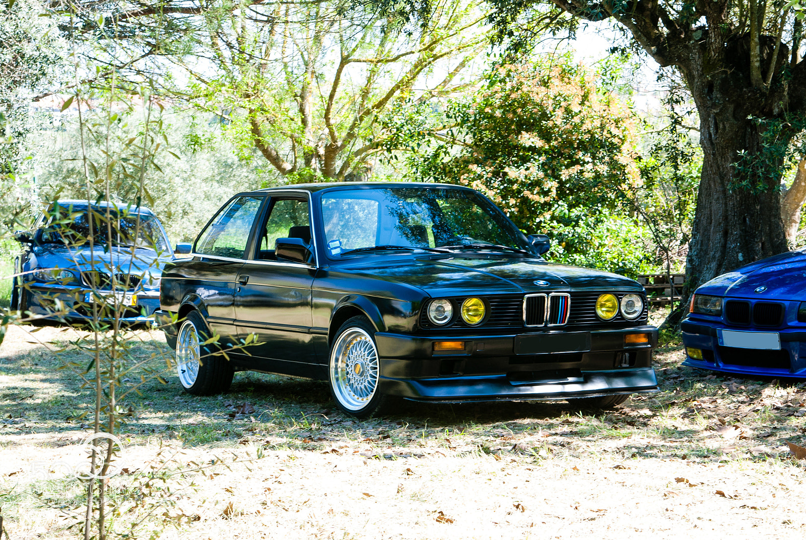 Nikon D80 sample photo. E30 photography