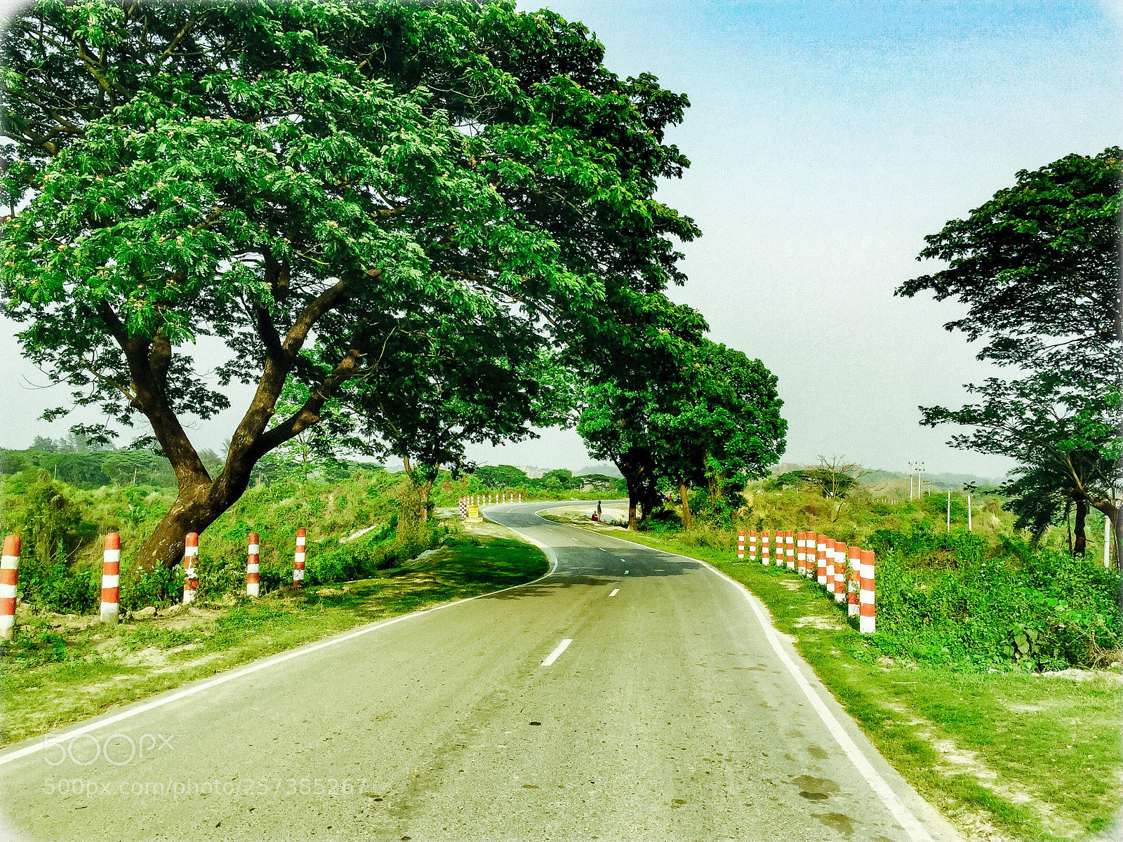 Apple iPhone 6 sample photo. Greeny love with zickzack photography