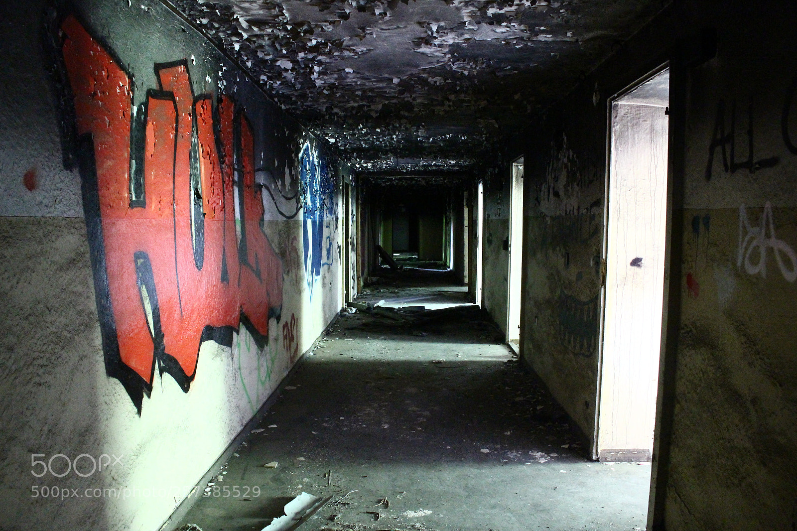 Canon EOS 700D (EOS Rebel T5i / EOS Kiss X7i) sample photo. Ground photography