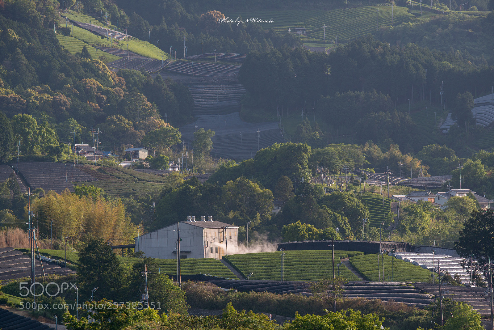 Nikon D800 sample photo. This morning photography