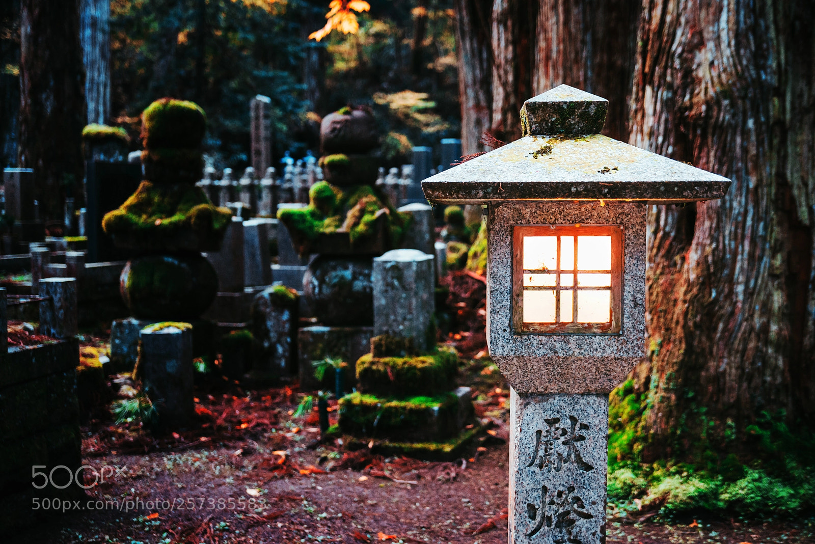 Nikon D610 sample photo. Cemetery lights photography