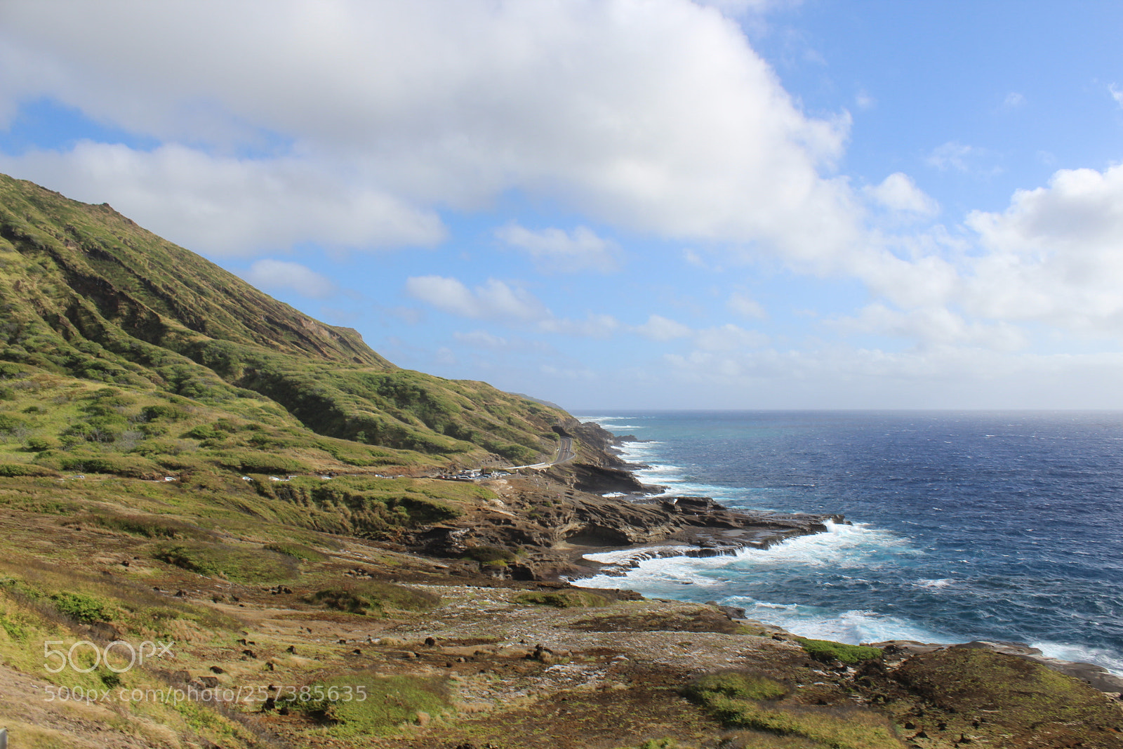 Canon EOS 600D (Rebel EOS T3i / EOS Kiss X5) sample photo. Img photography