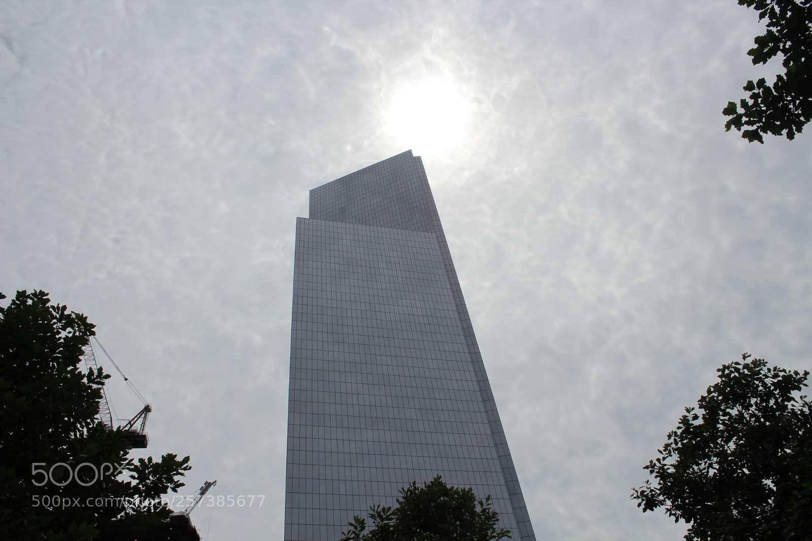 Canon EOS 600D (Rebel EOS T3i / EOS Kiss X5) sample photo. Img photography