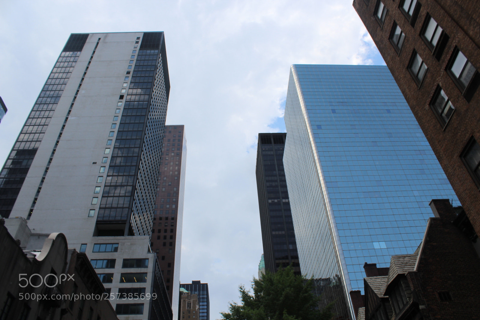 Canon EOS 600D (Rebel EOS T3i / EOS Kiss X5) sample photo. Img photography