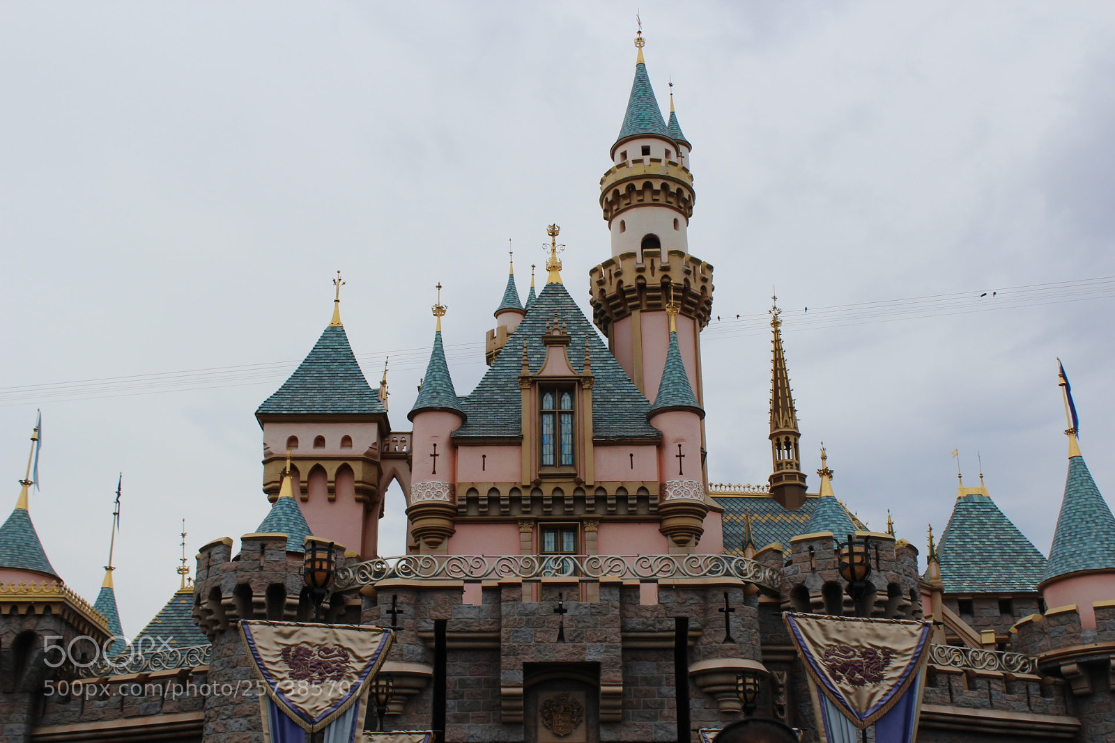 Canon EOS 600D (Rebel EOS T3i / EOS Kiss X5) sample photo. Img photography