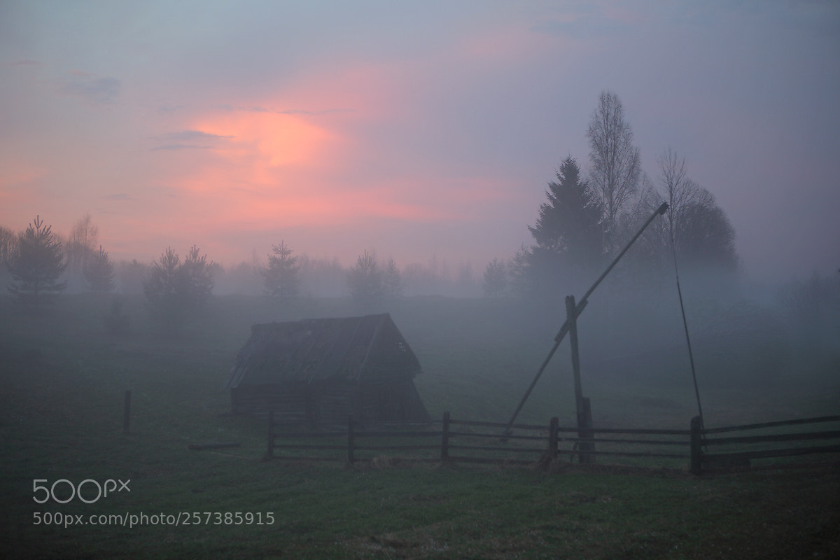 Canon EOS 5D Mark II sample photo. Through the fog photography