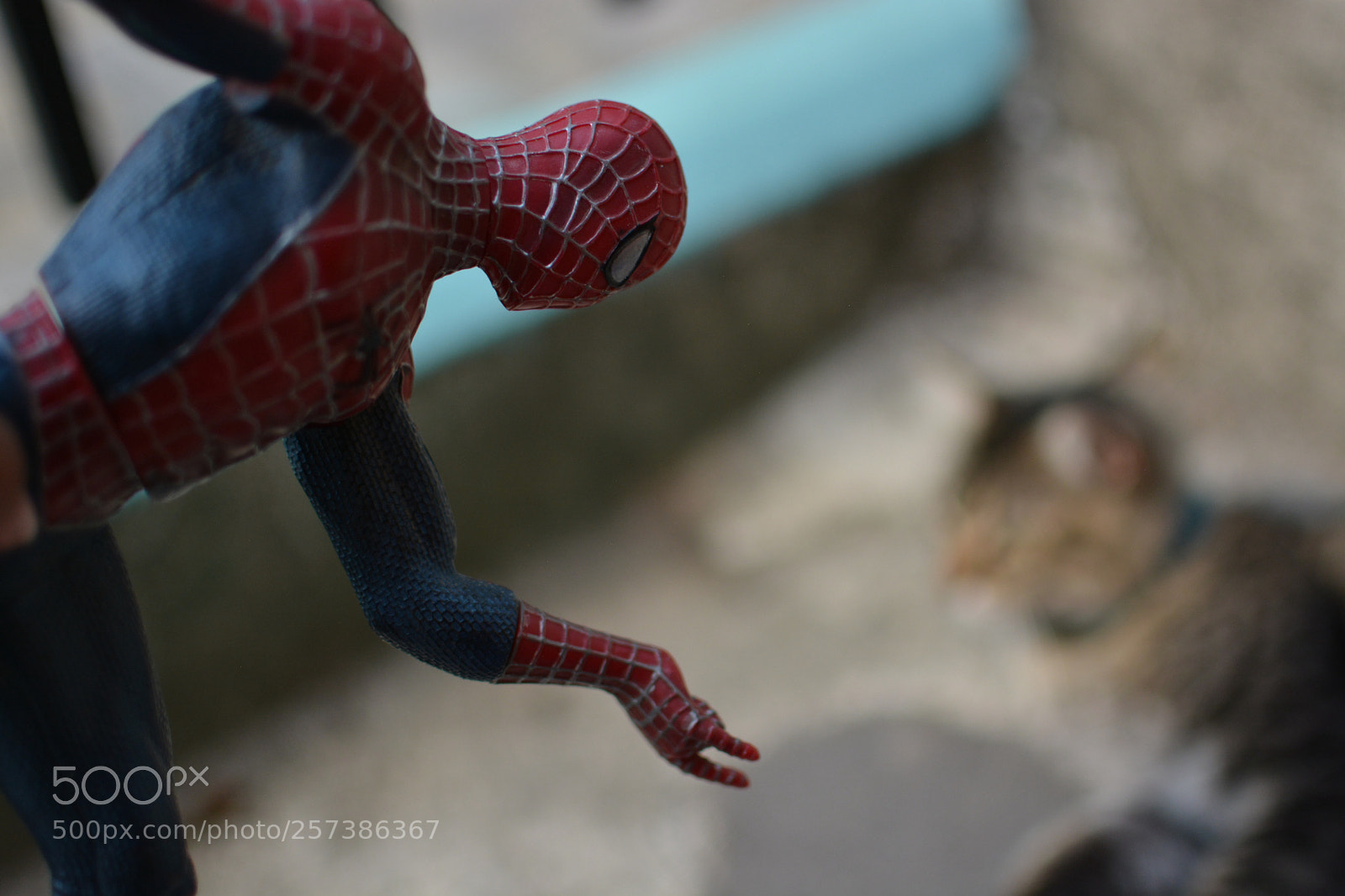 Nikon D5200 sample photo. En acci n perspectiva photography