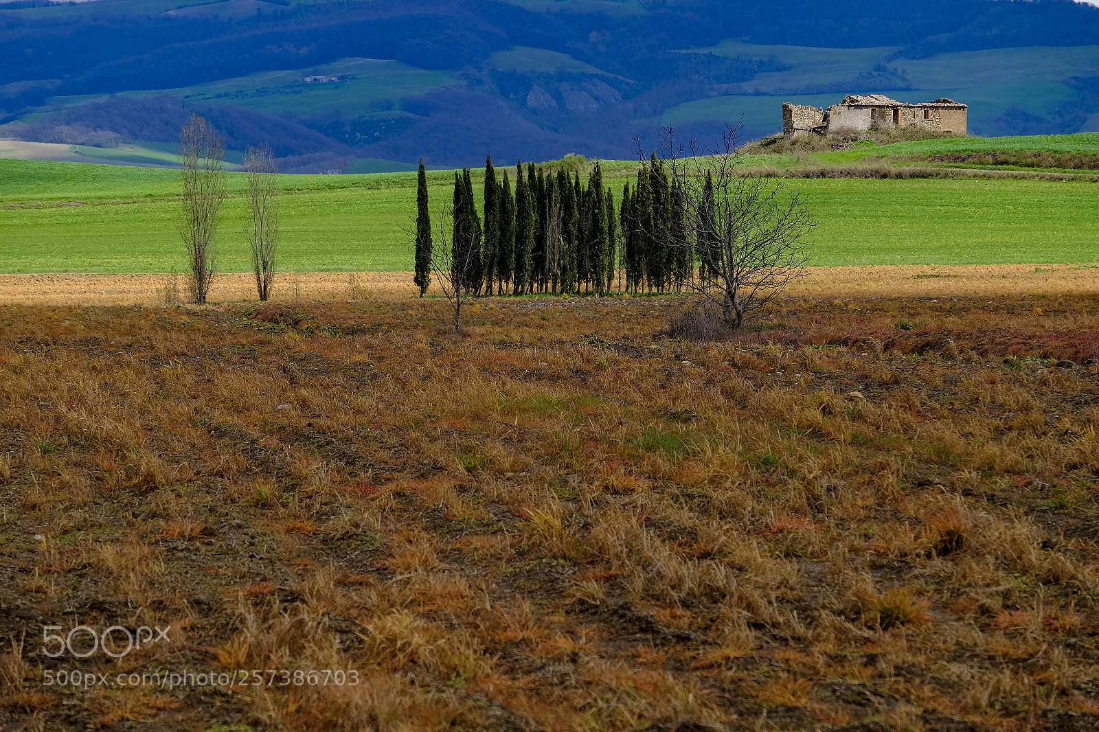 Fujifilm X-T1 sample photo. Val d'orcia photography