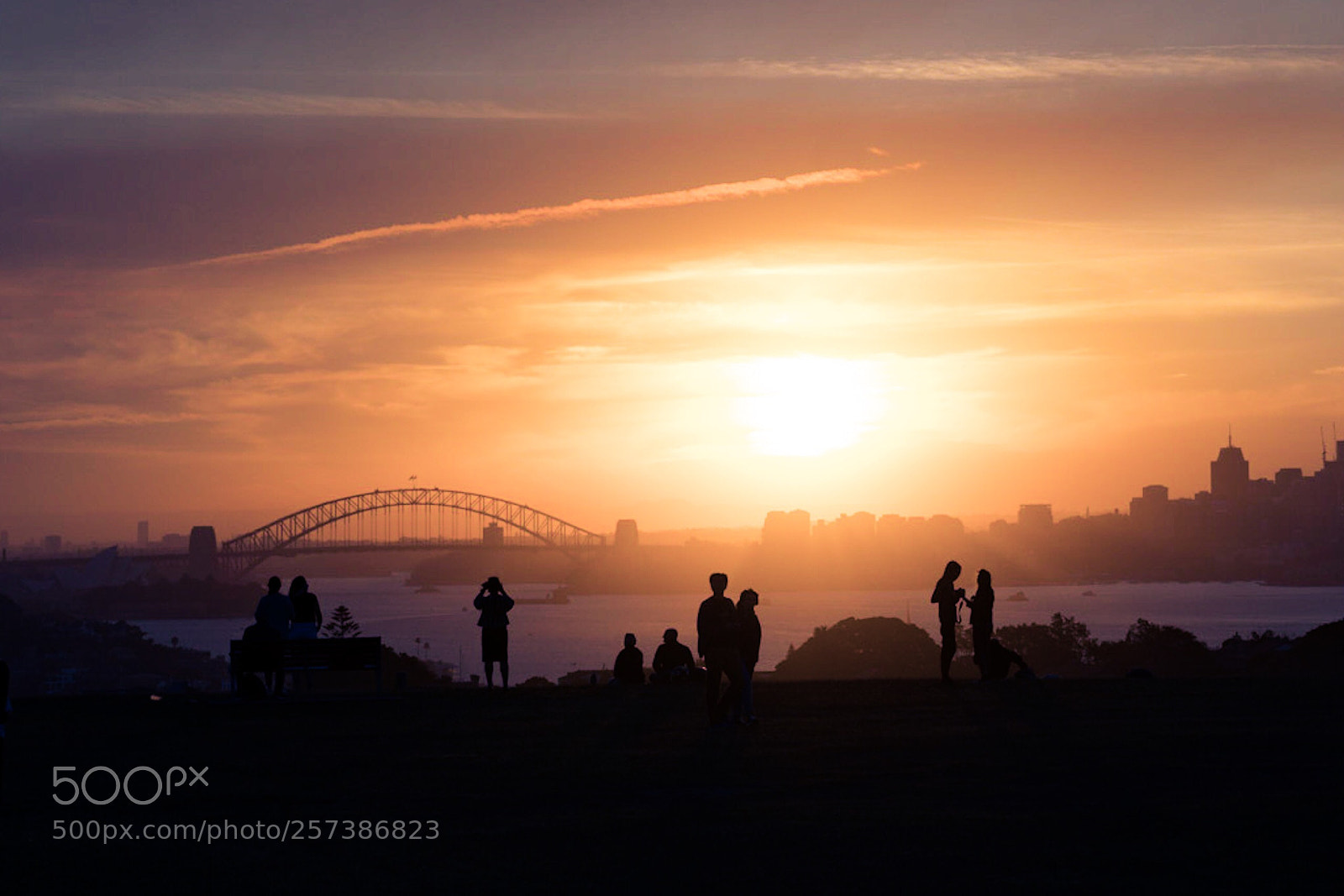 Sony a7R III sample photo. Sun lovers photography