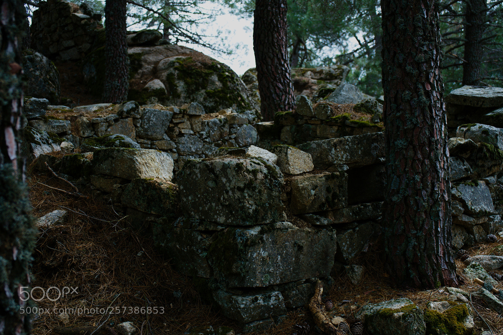 Sony a7 II sample photo. Frontea #2 photography