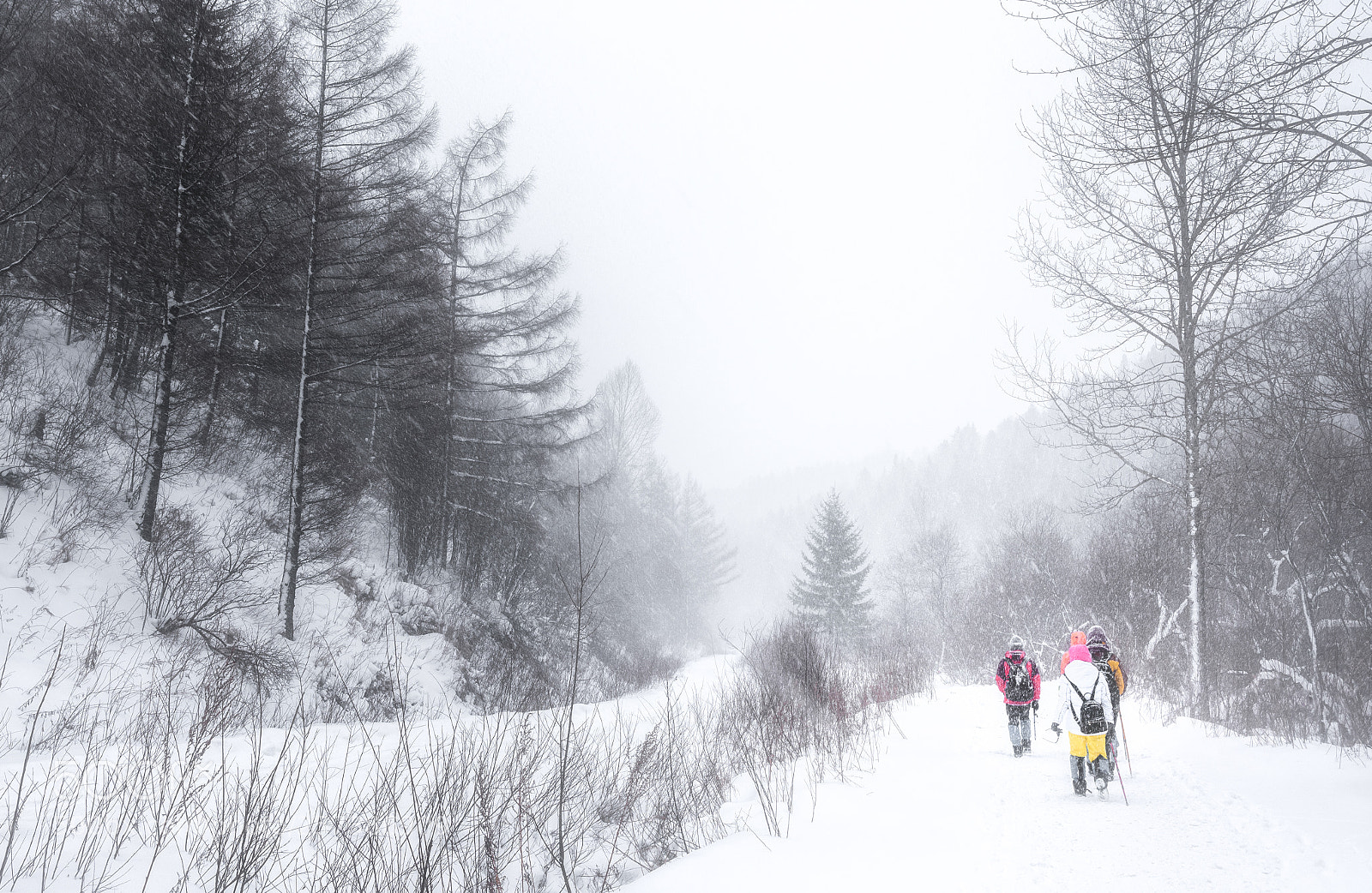 Nikon D750 sample photo. 雪地穿越 photography