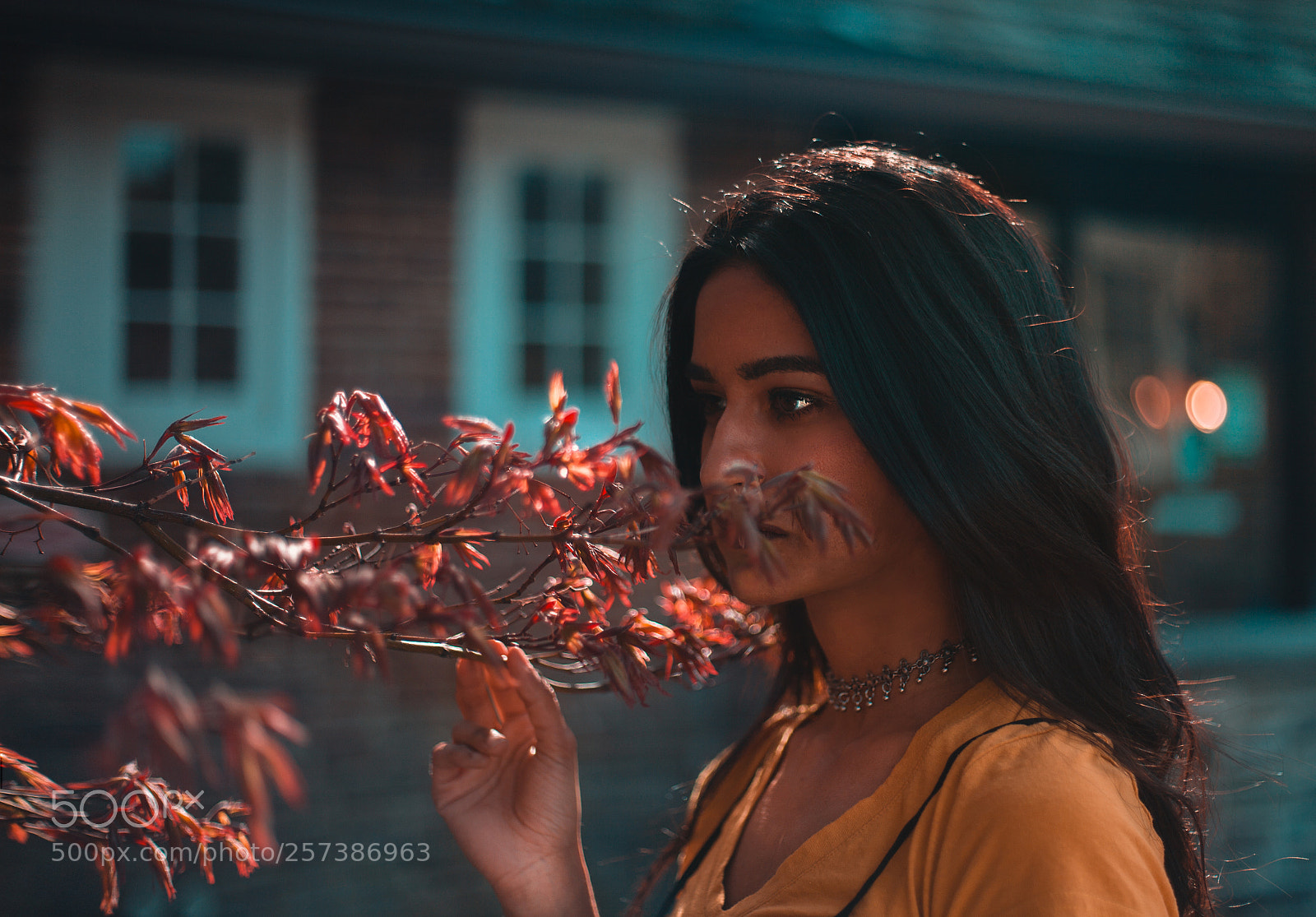 Canon EOS 5D Mark II sample photo. Warm spring photography