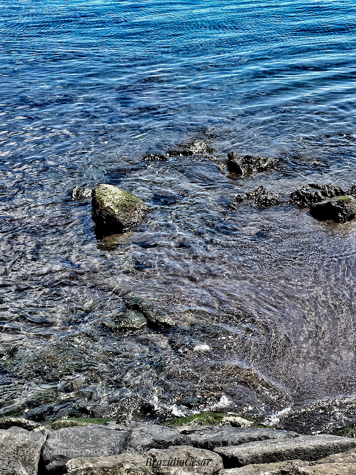 Apple iPhone 6s sample photo. Untitled photography