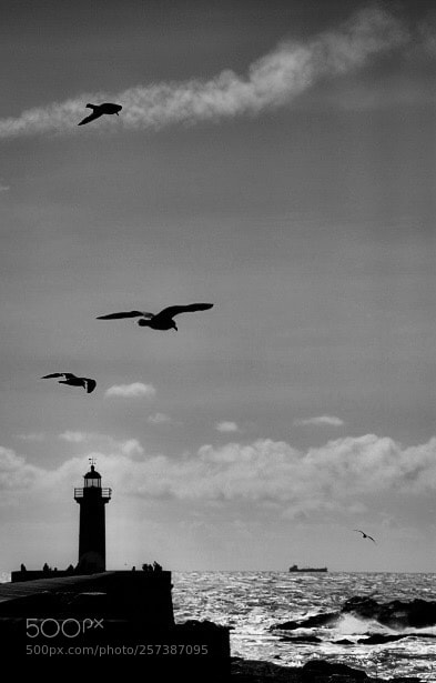 Canon EOS 5D Mark IV sample photo. Foz / porto photography