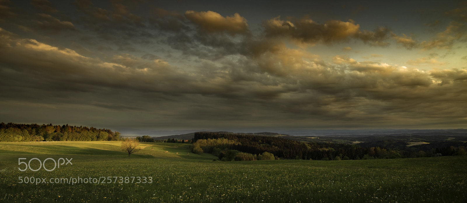 Canon EOS 5D Mark II sample photo. Bodensee panorama photography