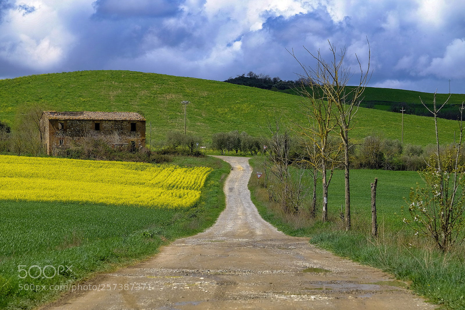 Fujifilm X-T1 sample photo. Under the tuscan sun photography