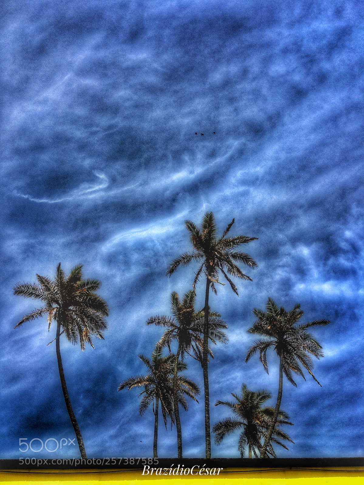 Apple iPhone 6s sample photo. Untitled photography
