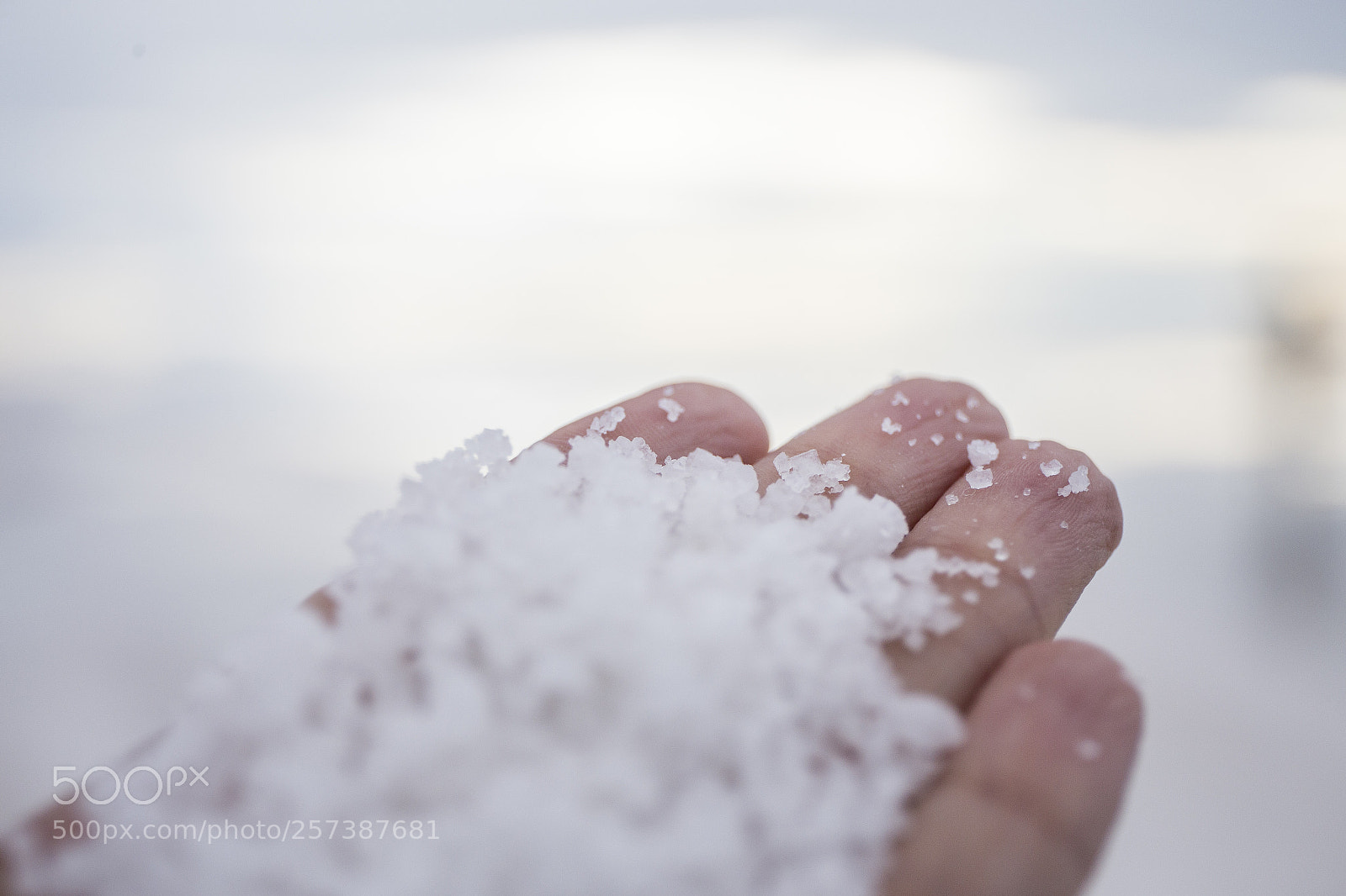 Canon EOS 6D sample photo. More salt photography