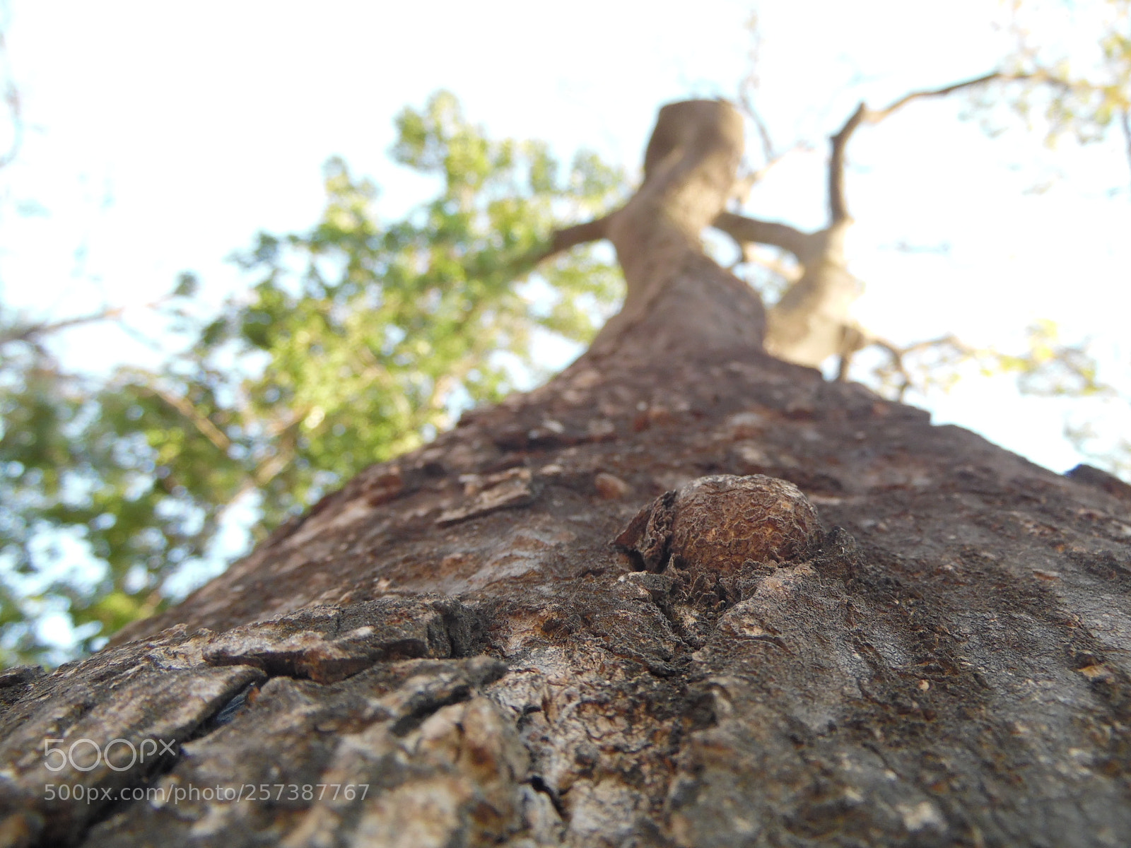 Samsung WB1100F/WB1101F/WB1102F sample photo. Variable photography