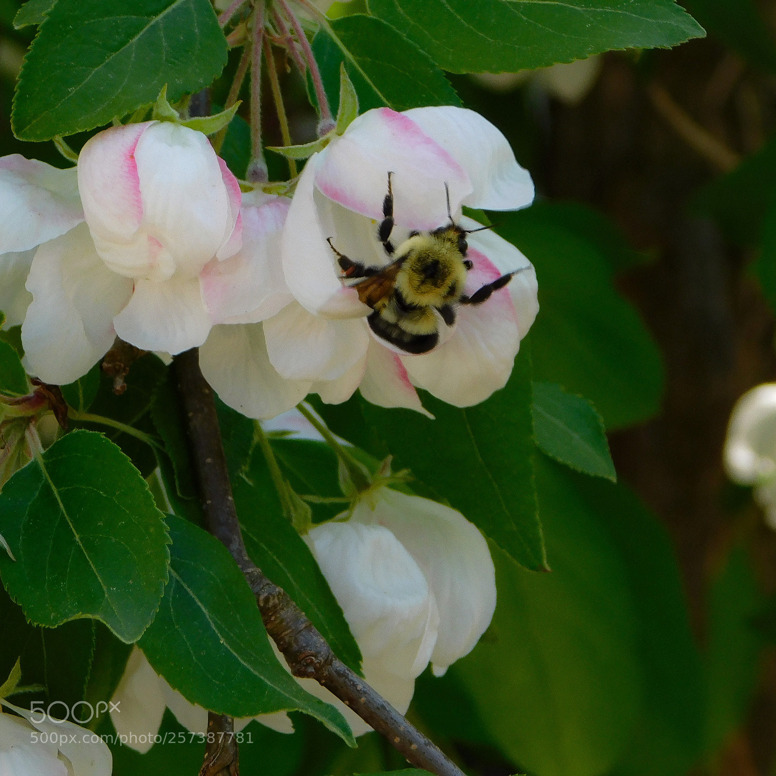 Nikon Coolpix B500 sample photo. Edited photography