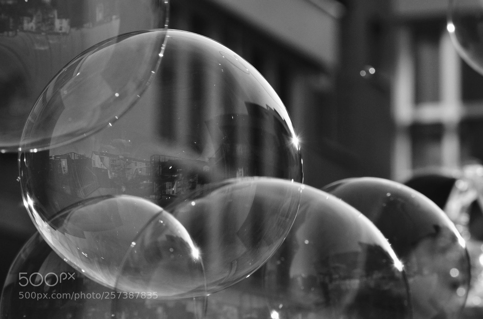 Nikon D7000 sample photo. Untitled photography