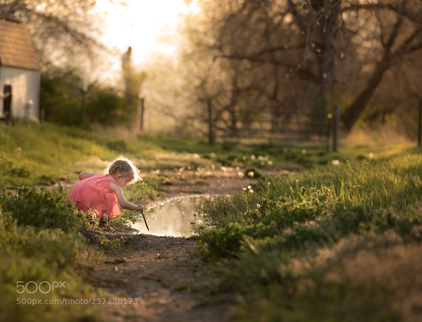 Nikon D810 sample photo. Puddles. photography