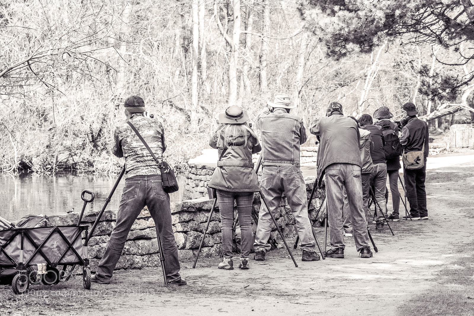 Olympus OM-D E-M1 Mark II sample photo. Longlensbirders photography