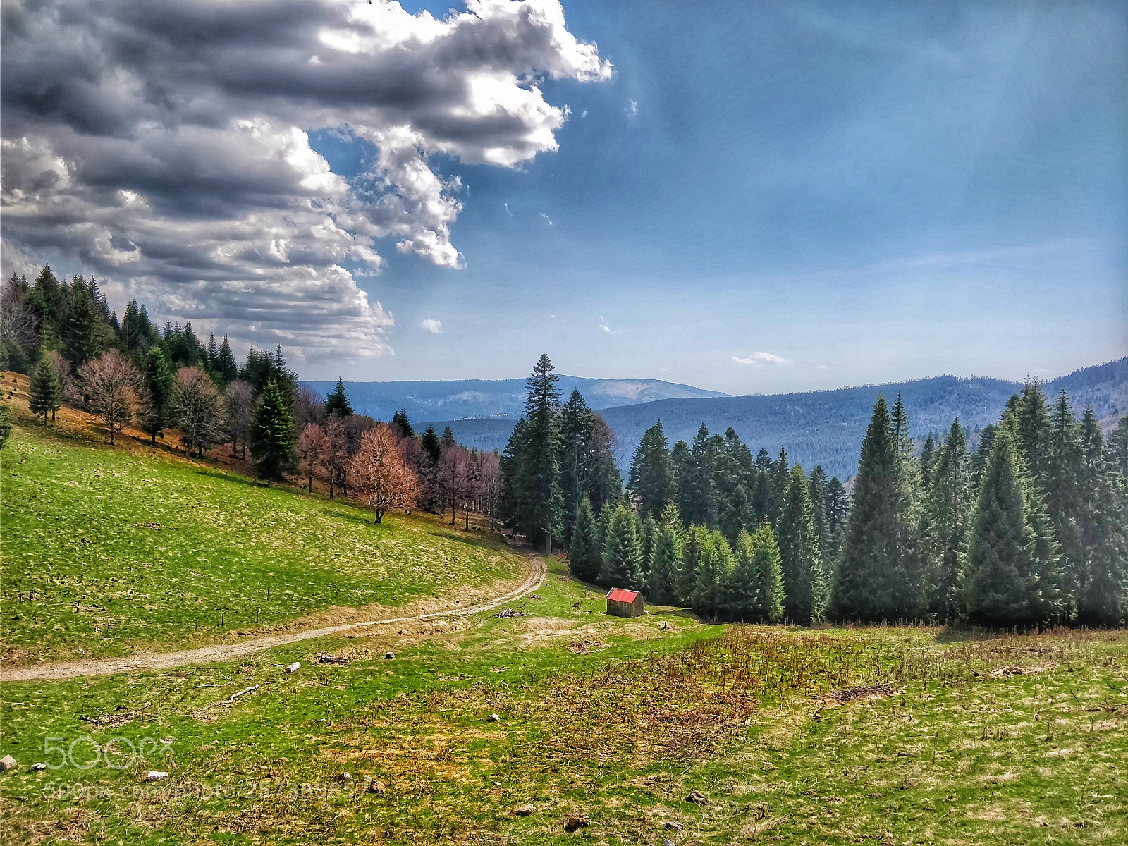 OnePlus 5T sample photo. Bihor photography