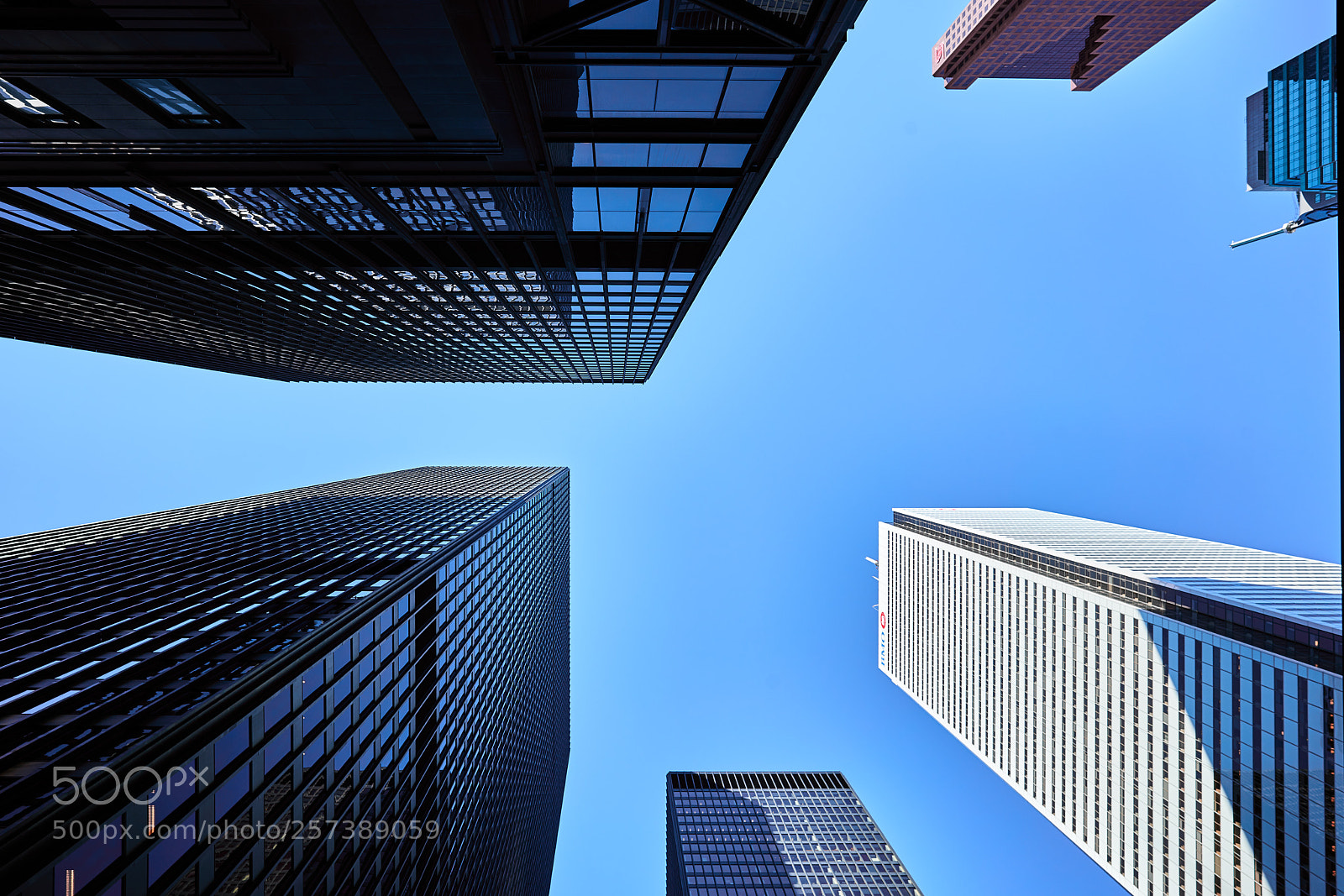 Sony a7R II sample photo. Look up photography