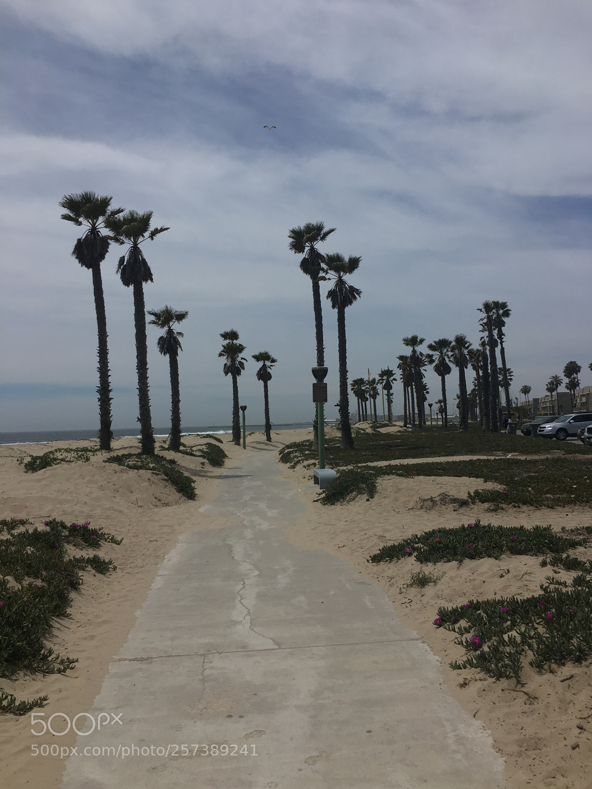 Apple iPhone SE sample photo. Beach breeze photography
