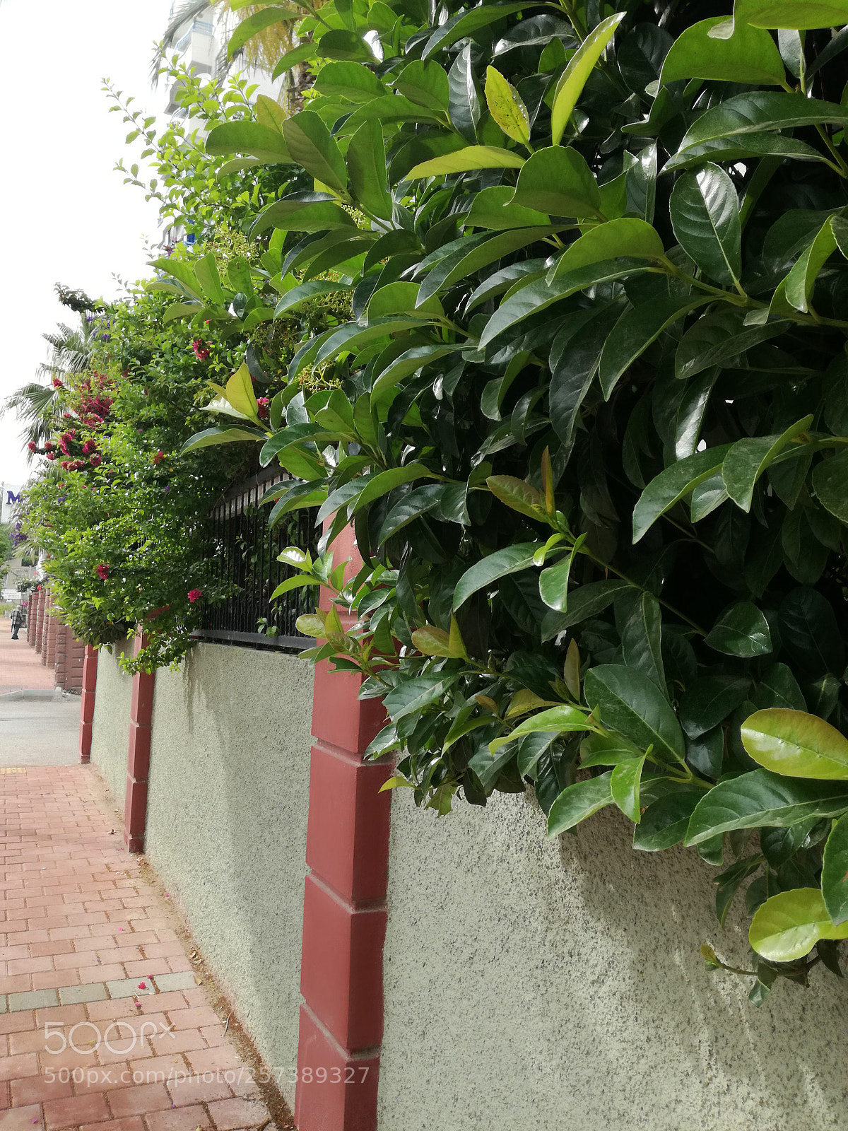 HUAWEI P9 LITE sample photo. Untitled photography