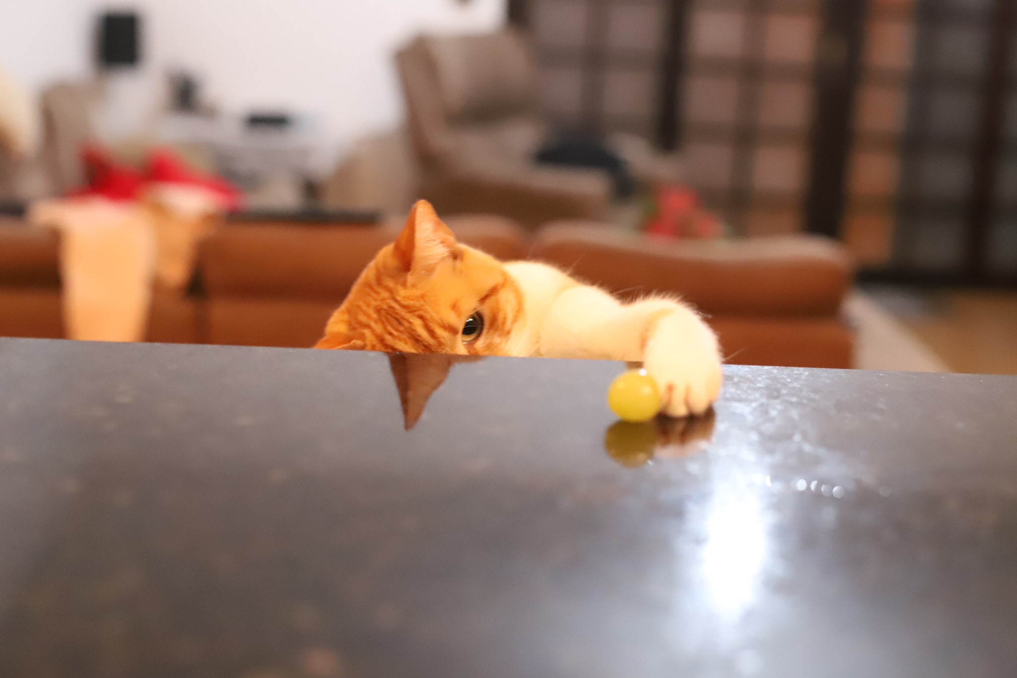 Canon EOS 6D Mark II sample photo
