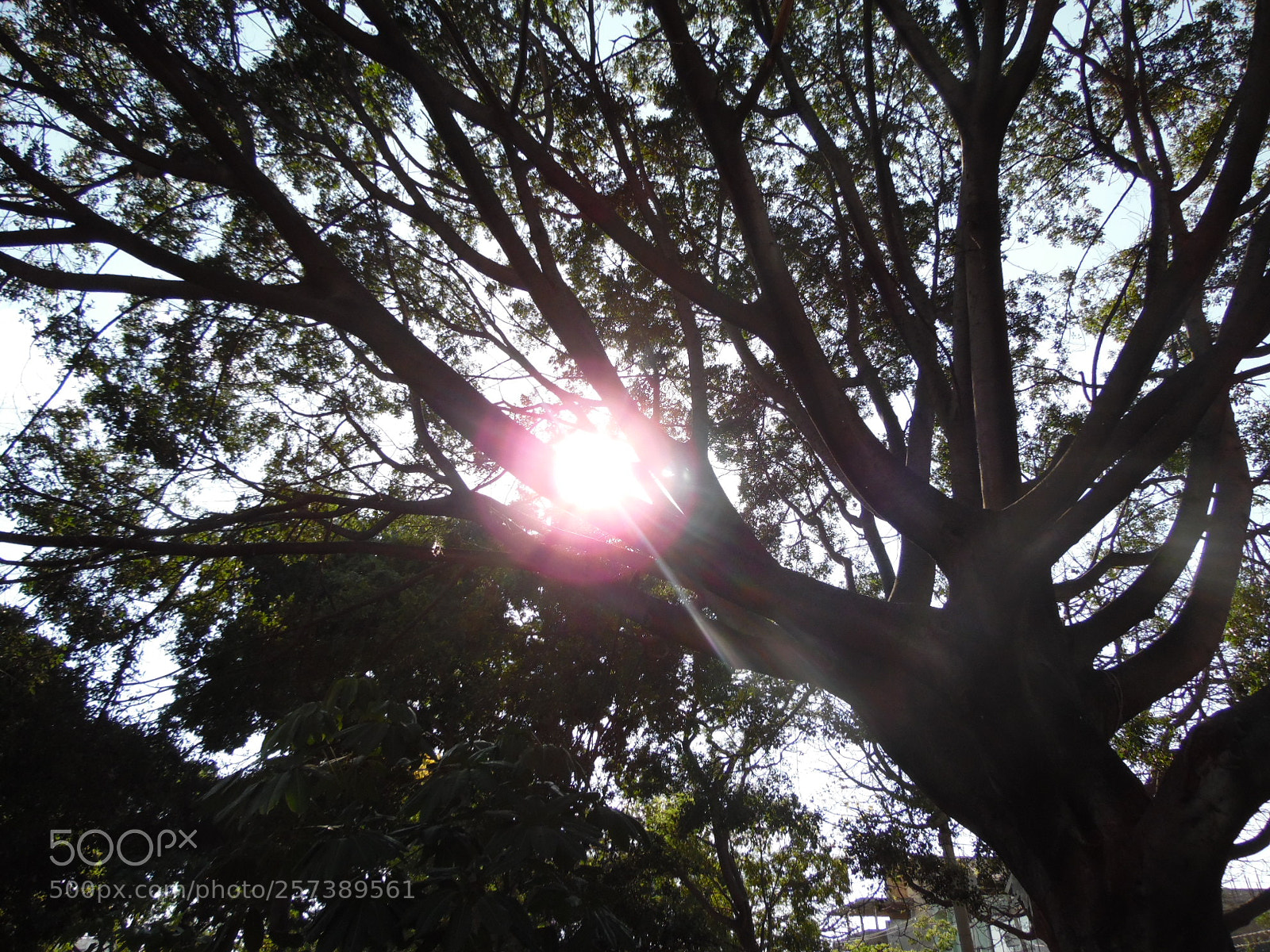 Samsung WB1100F/WB1101F/WB1102F sample photo. Fall photography